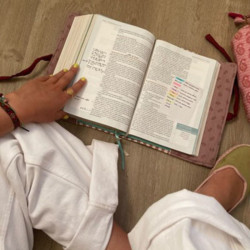 Funda de libro cherry